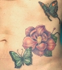 magnolia+butterfly