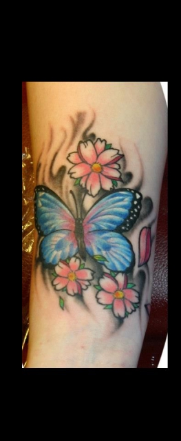 Schmetterling