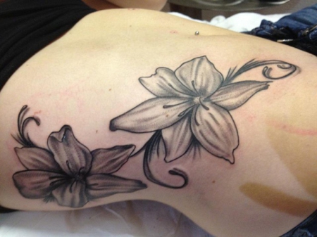 Meine Lilien