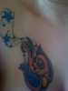 neues foto