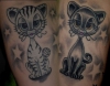 katzen