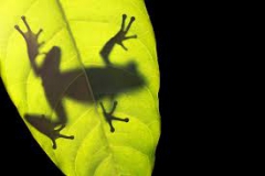Nordlicht1986's Bild