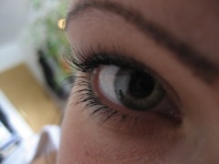 Mangochen88's Bild