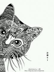 catdogmouse's Bild