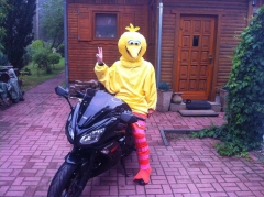 Jacki99's Bild