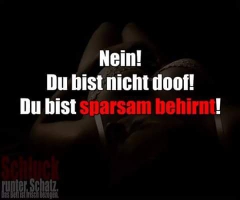 Virussa's Bild