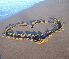 Ocean's Bild