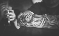 lexani's Bild