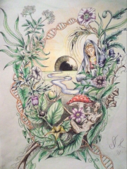 Herbstrot's Bild