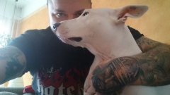 bloodrun's Bild