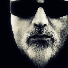 Gambelband's Bild