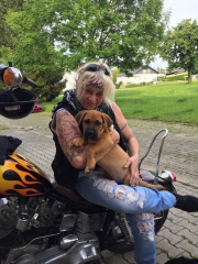 Bikerdogs's Bild