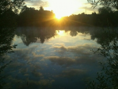 connybornschein's Bild