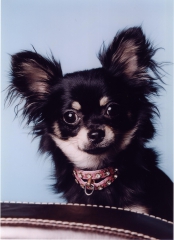 moritzluzifer's Bild