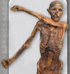 Ötzi's Bild