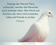 Dimix69's Bild