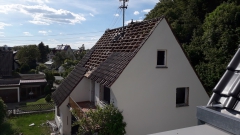 Phillip Lachenmayr's Bild