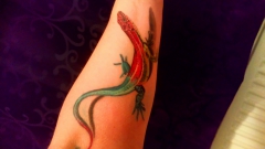 Lizzylizard's Bild