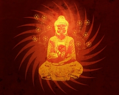 ymgeist's Bild