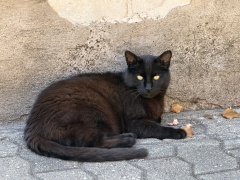 Sandrawe's Bild