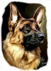 Alexis1976's Bild