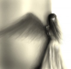 kleinbella's Bild