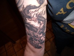 dragon-206's Bild