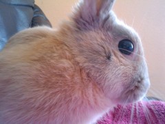 chanelsweety's Bild