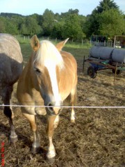 triene16's Bild