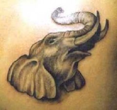 Tat4Fred's Bild