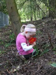 Little miss's Bild