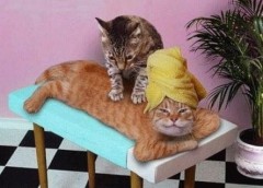 sun4u's Bild