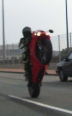 Miura's Bild