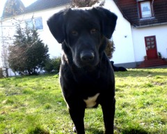 SamSam's Bild