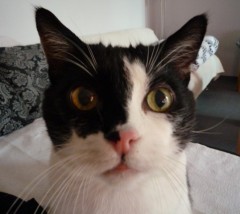 MadameMinousch's Bild