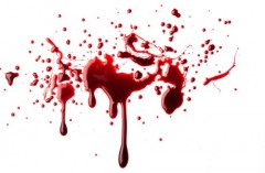 bloodnursy's Bild