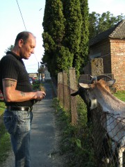 elloco1's Bild