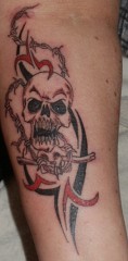 cicco1's Bild
