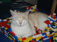 sprudels's Bild