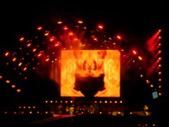 maamauerbabambler's Bild