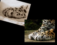 tschackelinä's Bild