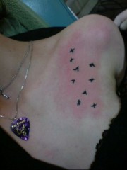 LifeIsMyFreakStage's Bild