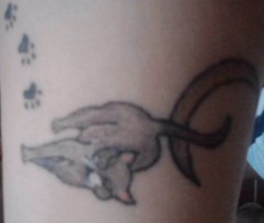 MoonCat's Bild