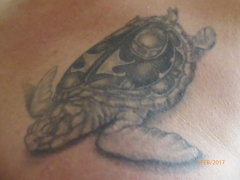 Muckelchen 1's Bild