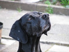Emma1978's Bild