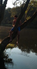 Salevin's Bild