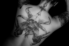 Morticia's Bild