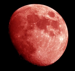 Ruby_Moon's Bild