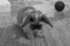 Chrissisy's Bild