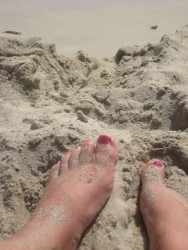 guilia's Bild